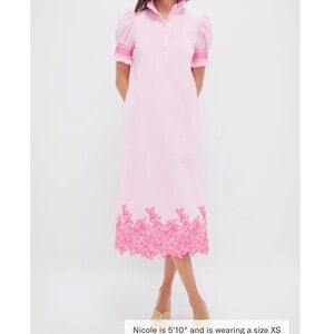 HYACINTH HOUSE Pink Embroidery Eliza Midi Dress NEW